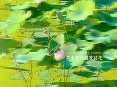 -龙门水都景区