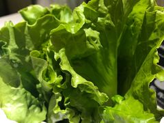 -古乐牛香·鲜牛肉牛杂火锅(新区店)