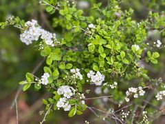 -白塘生态植物园