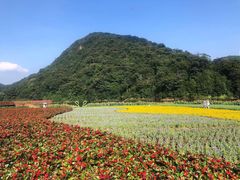 -广州市石门国家森林公园