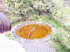 -杭州第一世界大酒店·云曼温泉