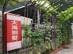 -大海别墅民宿农家院(十渡店)