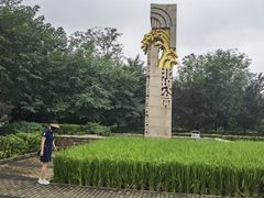 -北坞公园