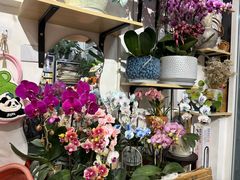 -FEI FEI FLOWER鲜花店·气球派对·宝宝宴布置(虹口德必运动Loft店)