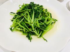 -张生记(丁香国际店)