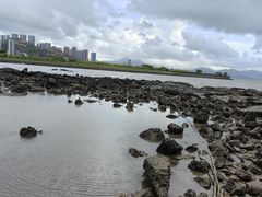 -碧桂园十里银滩