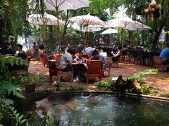 景观位-Fern Forest Cafe