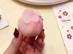 -哈根达斯(国瑞店)