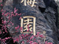 -无锡梅园公园