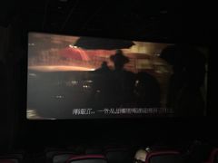 -汇金缪斯影城(八佰伴店)