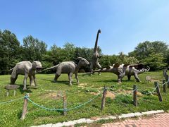 -沈阳植物园