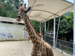 -泉州海丝野生动物世界