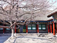 -张学良旧居陈列馆