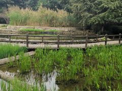 -成都市活水公园