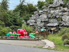 -上海海湾国家森林公园