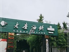 -老磨油饼(高陵店)