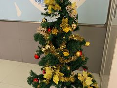 -盒马鲜生(金桥国际广场店)
