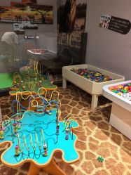 -卡通尼·Safari非洲探索乐园·生日会(金桥国际商业广场店)