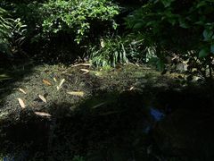 -望江楼公园