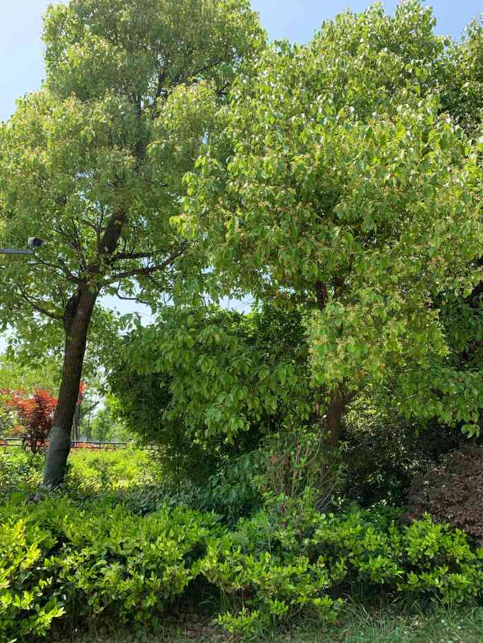 塘栖公园-"塘栖离杭州市区还是有一点距离的自己开车.