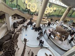 -陕西自然博物馆