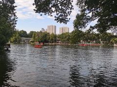 -荔湾湖公园