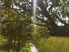 -白塘生态植物园