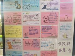 -瑞派中心宠物医院·CT·核磁·神经专科