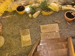 -伴山茶苑·围炉煮茶