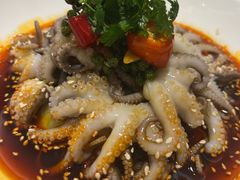 捞汁八爪鱼-圆苑(静安寺店)