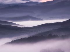 -壹家水货·小海鲜