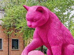 -西安电影制片厂