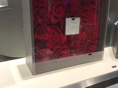 -ROSEONLY诺誓(青岛万象城店)