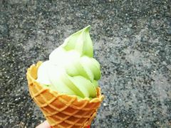 -豆政(金閣寺境内売店)