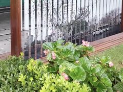 -星巴克(武康路店)