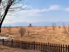 -野鸭湖国家湿地公园