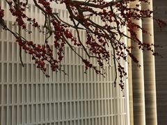 -南京国际会议大酒店