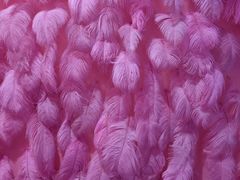 -杭州西湖星空魔幻城(星空艺术馆品牌旗舰店)