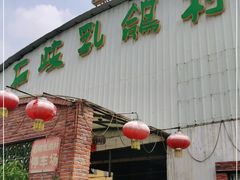 -石岐乳鸽村(桥观坊南四巷店)