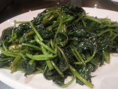 清炒红薯叶-自己人(九码头店)