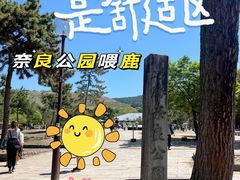 -奈良公园