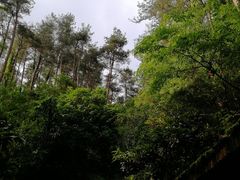 -梦姑塘文化公园