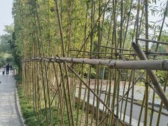 -昆山城市生态森林公园