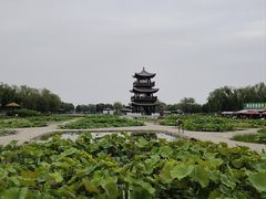 -白洋淀景区