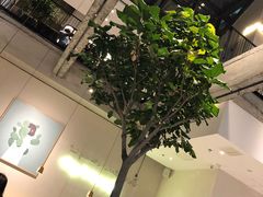 -大树餐厅(红旗街万达店)