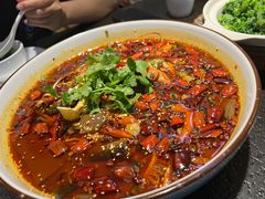 水煮牛肉-万重锦·人文川菜馆(骡马市店)