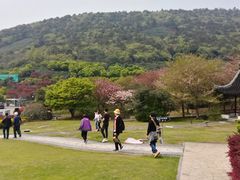 -缥缈峰景区