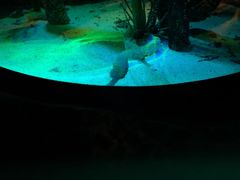 -沈阳海洋探索中心