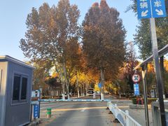 -山东大学(洪家楼校区)