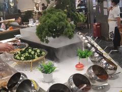 -洪氏嗨捞·猪肚鸡火锅(阳光天地店)
